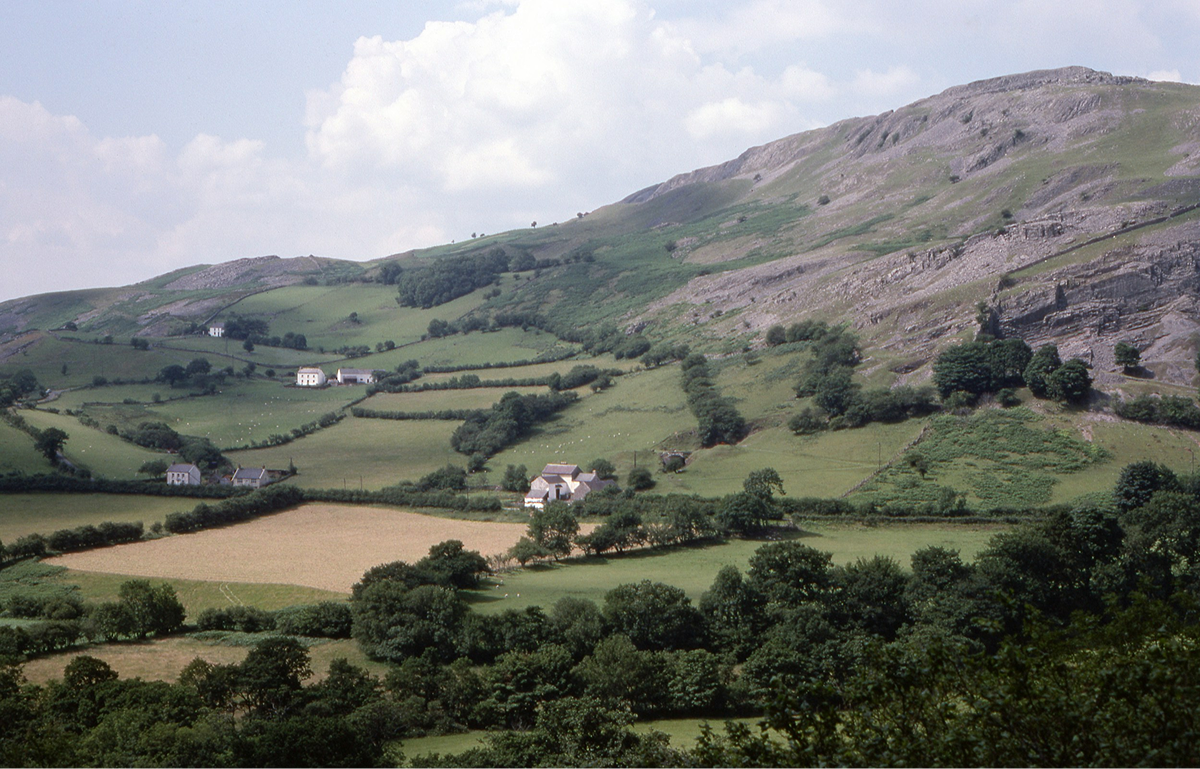 Mountain Vista